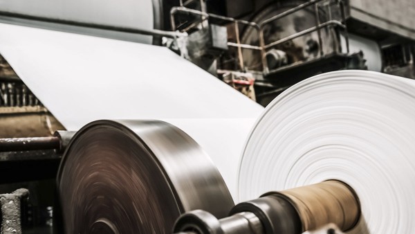 Pulp and paper